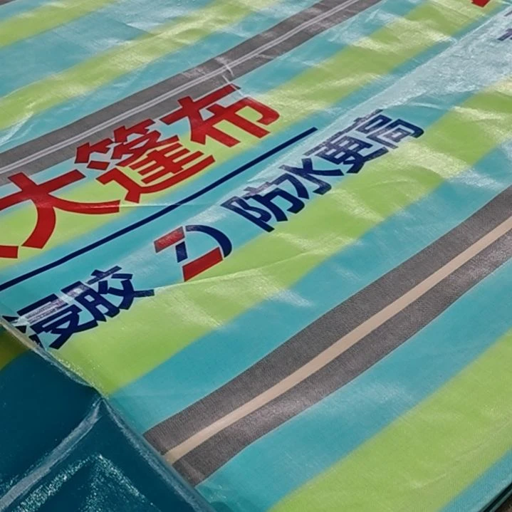 绒质666666666666666666666666666666666