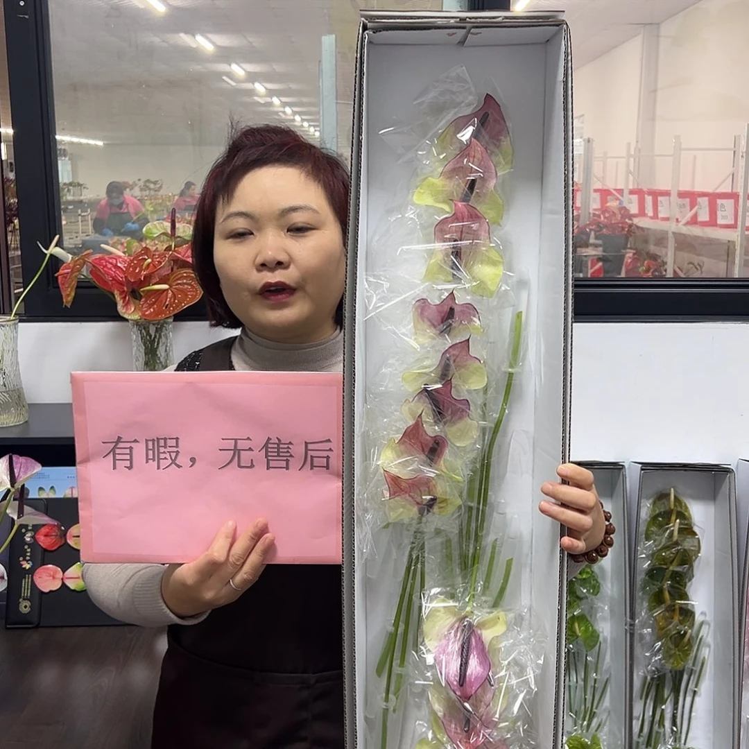 完全开放马克西玛-16枝装无售后款！