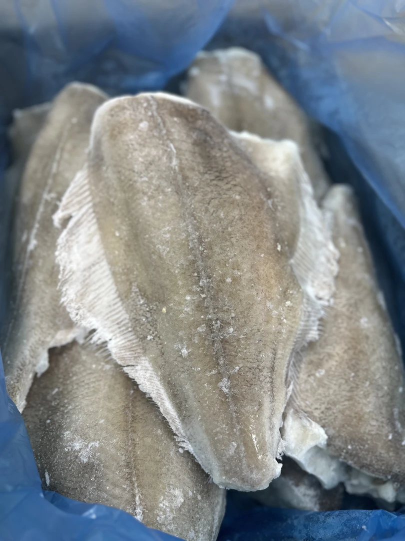 大规格深海鲽鱼身现场称重链接1