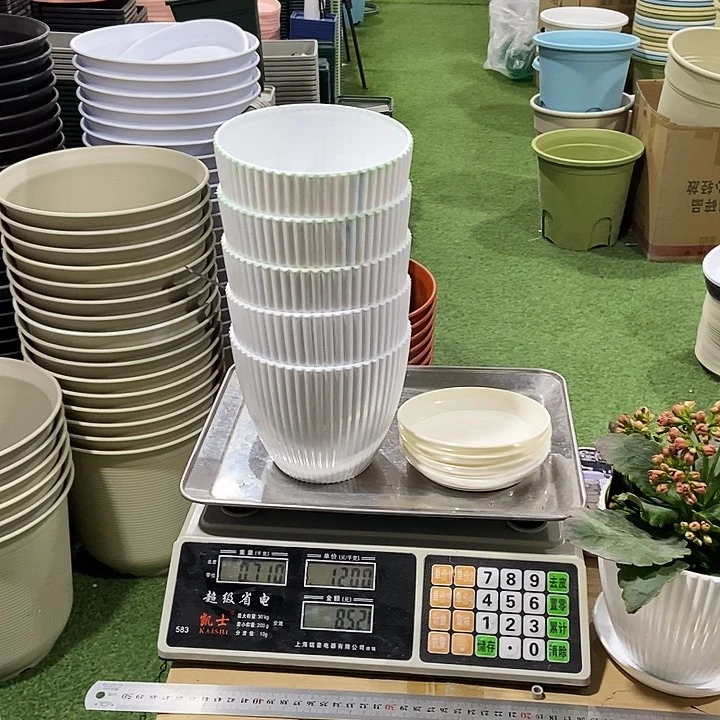 竖条纹口15高13白色5个带拖