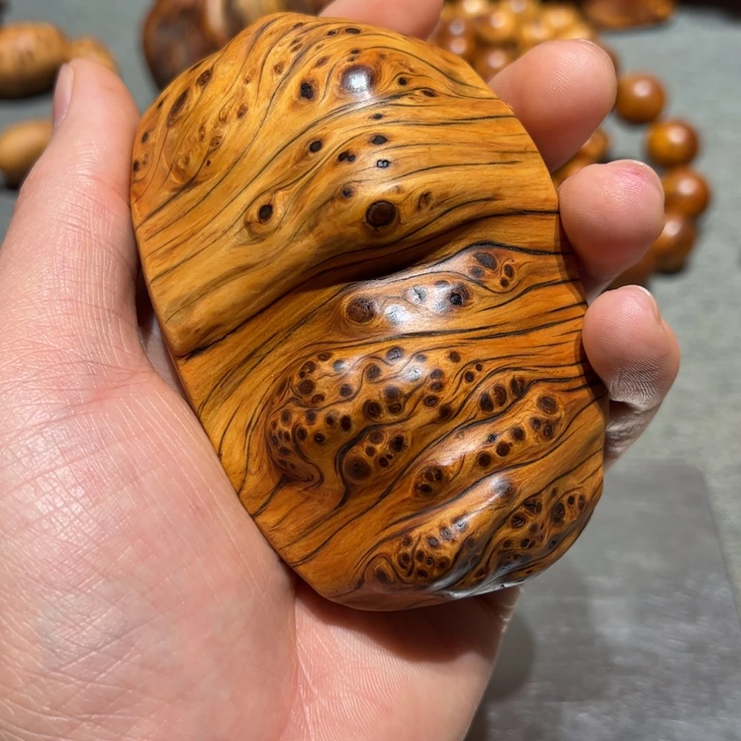 扶**太行崖柏陈化太行