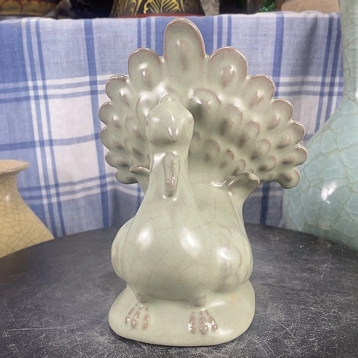 陶泽如花儿盛开了