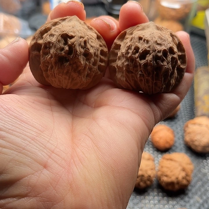 小***爱把件桃核特价核桃