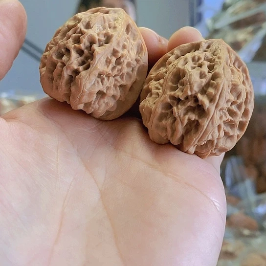 【闪购商品】把件文玩核桃38野牛小众