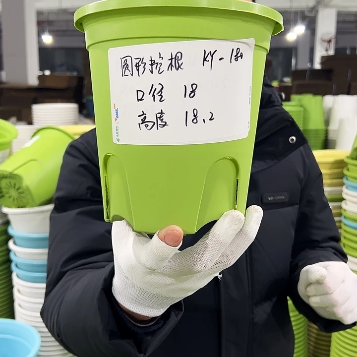 正品圆控口18高18果绿8只无托