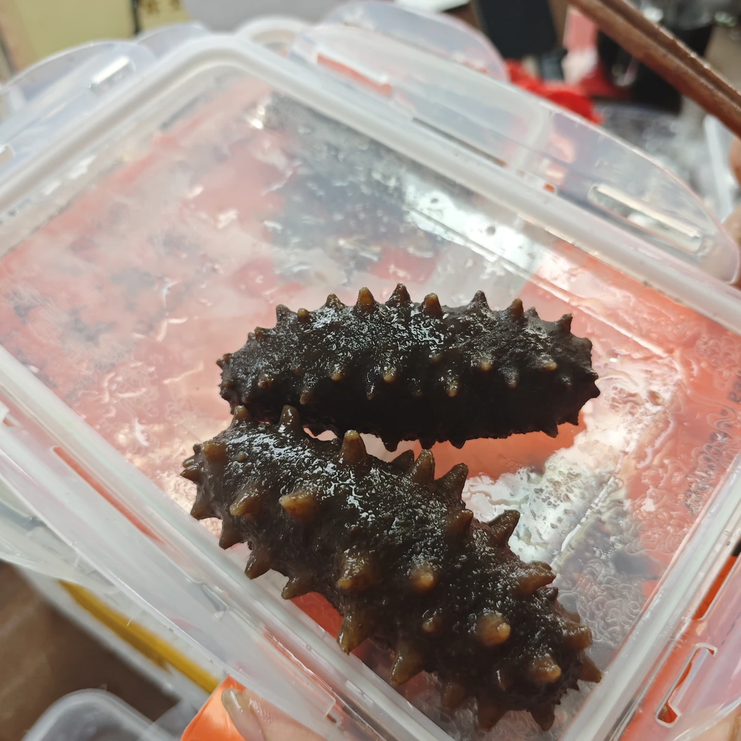 【三三】即食海参500g*2