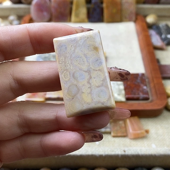 硅化珊瑚（珊瑚玉）未镶嵌颈饰