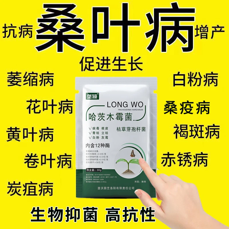 桑树卷叶小叶花叶缩叶生物菌剂养蚕专用桑叶嫩绿肥厚产量高叶面肥