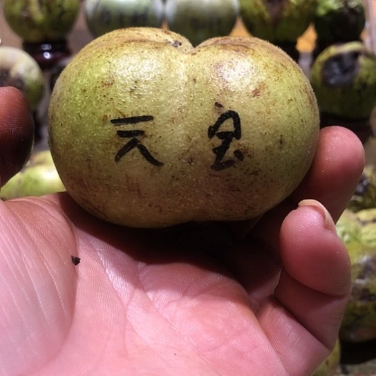 吊坠桃核核桃核桃