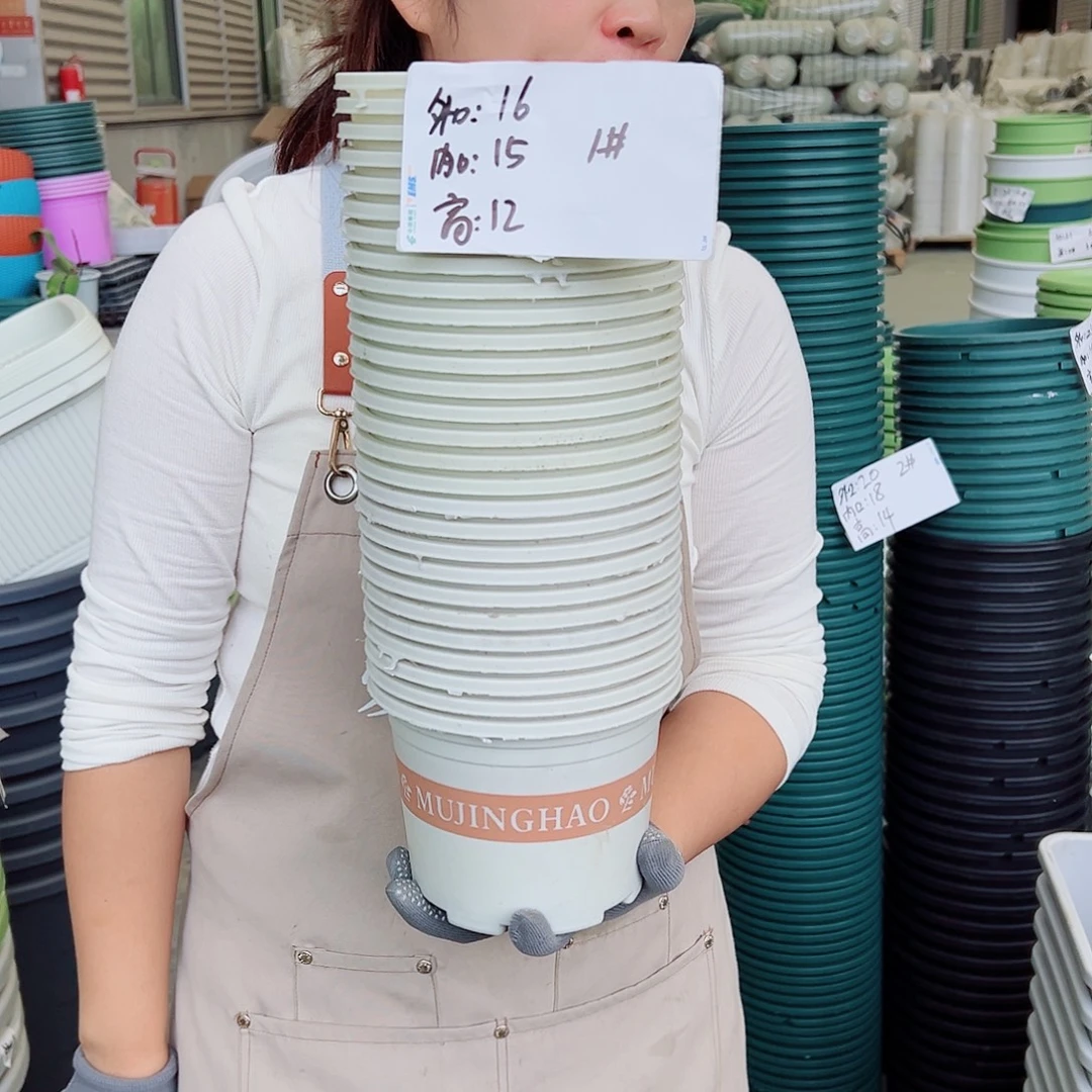 瑕疵矮胖1#米白色28个无托