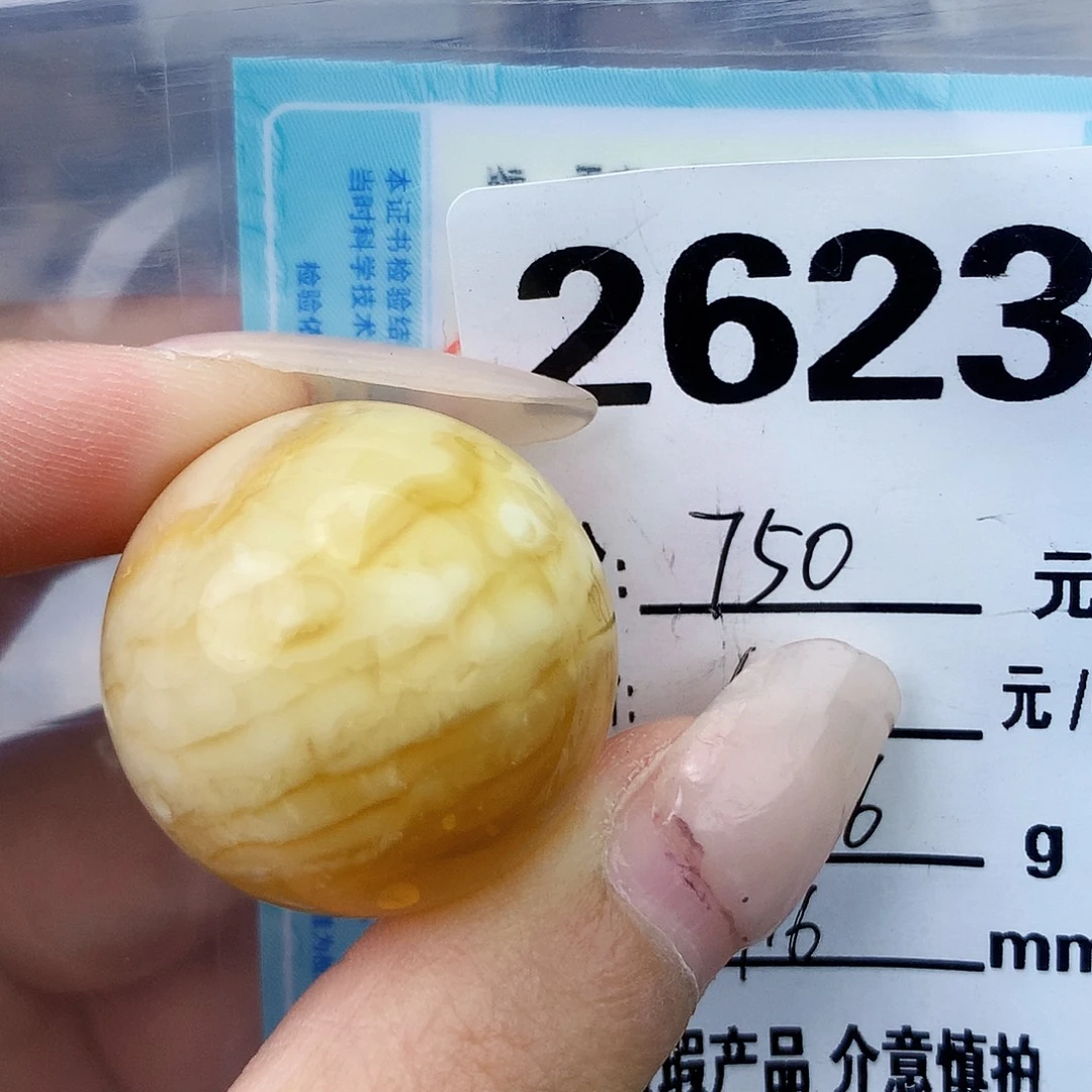 琥珀未镶嵌珠宝奇石27.6植物线