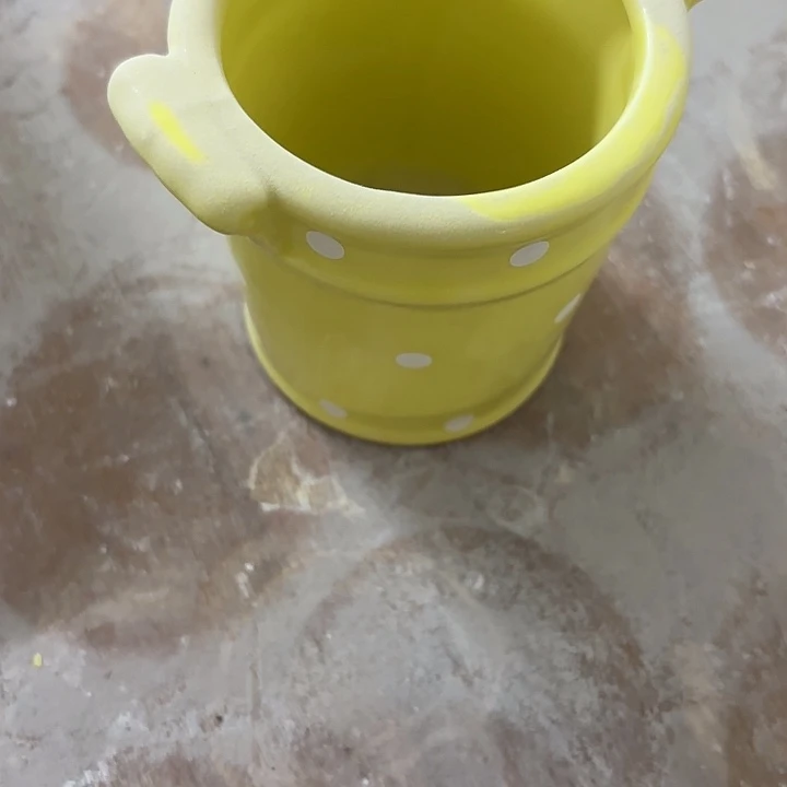 陶瓷花盆多肉植物