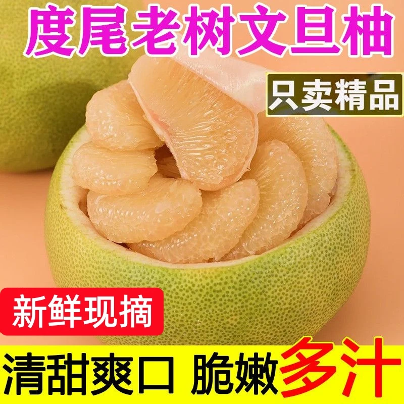 【京东快递】福建仙游度尾文旦柚老树当季新鲜现摘时令水果正宗A
