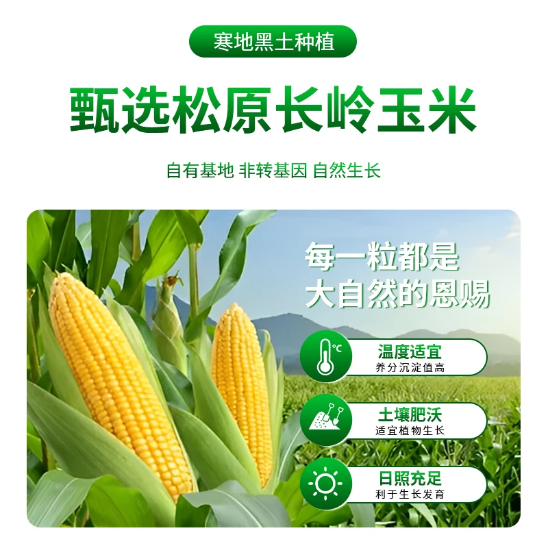 试吃2支东北糯玉米独立真空包装黄糯玉米粗粮早餐整箱10支2200g+