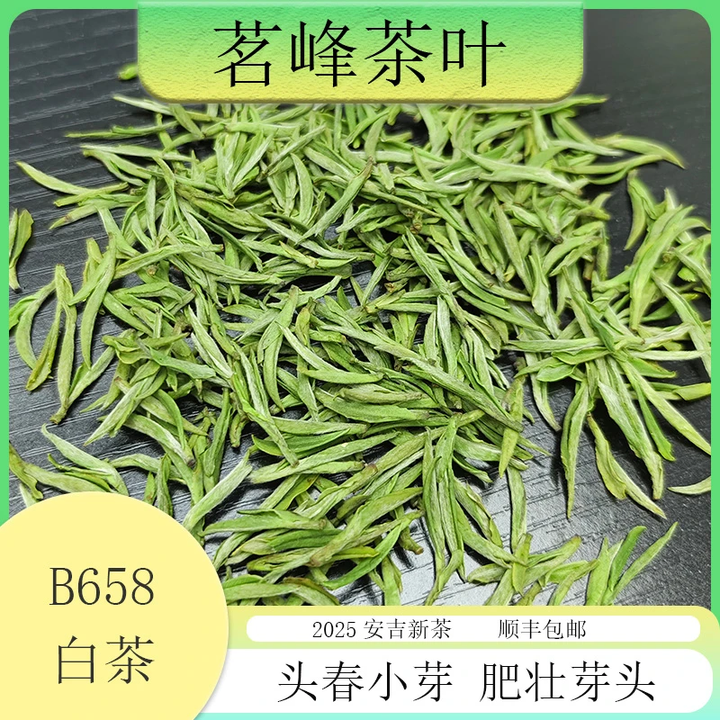 【2025安吉新茶】茗峰茶叶 头春小芽  肥壮芽头 口感香甜 白茶b658