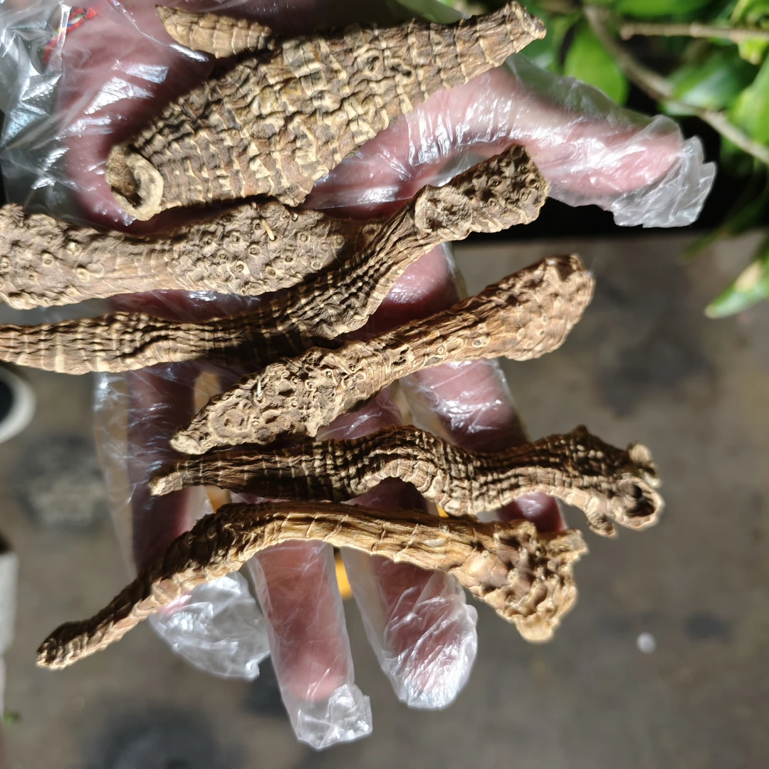 2【阿-勃-参】净含量250g-1500g【阿虎现收】粮