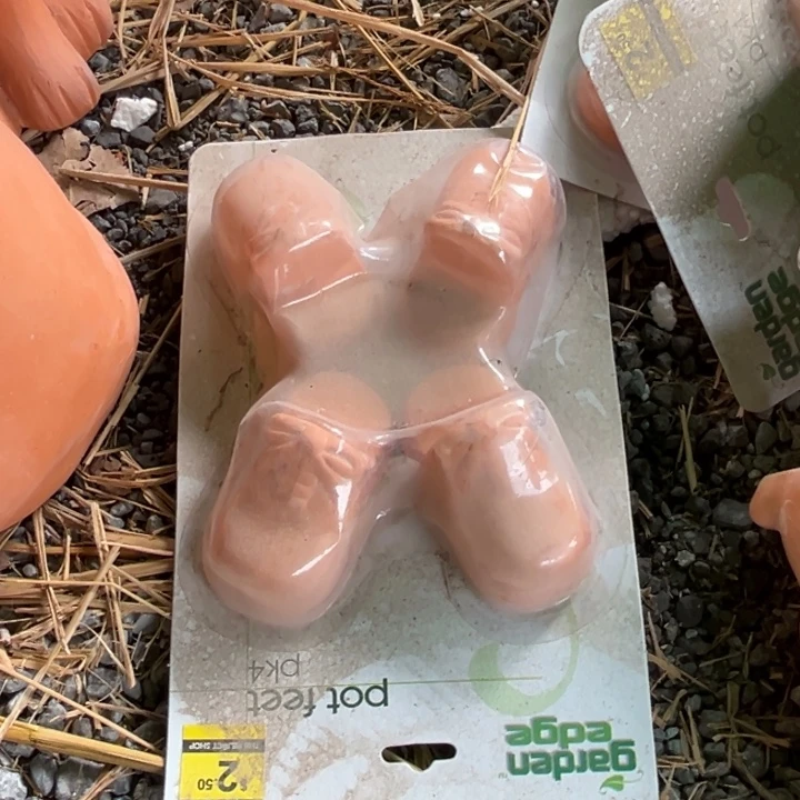 9×5 一套鞋子红陶