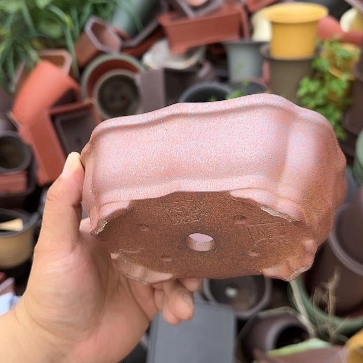 不说你还以为我们