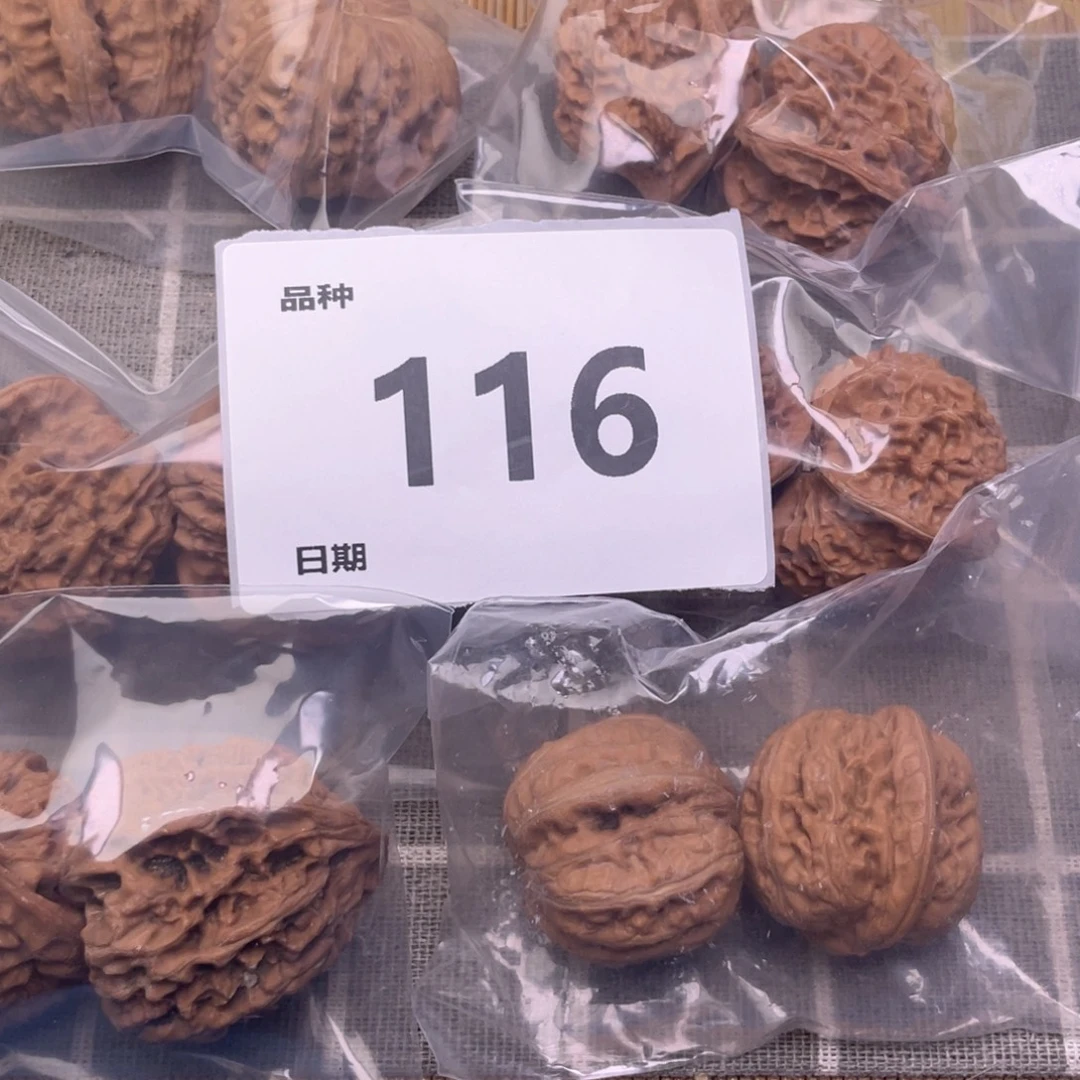 文玩核桃把件116号6对带练手元宝
