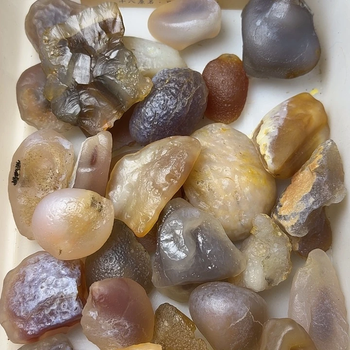 非金属一天下专拍