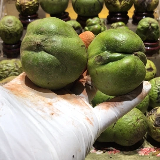 吊坠桃核核桃核桃