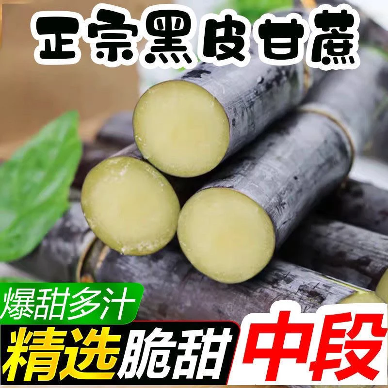 （脆甜多汁）广西黑皮水果甘蔗现砍现发新鲜水果