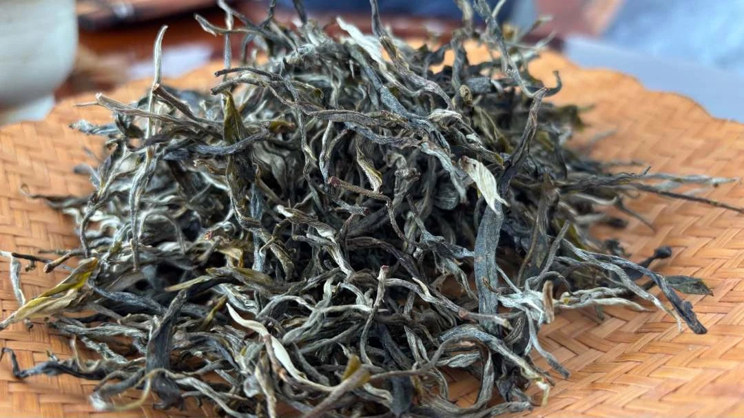 【雷达山野象塘森林茶32号】2025年·古树挑采 明前头春 生散 尝鲜款