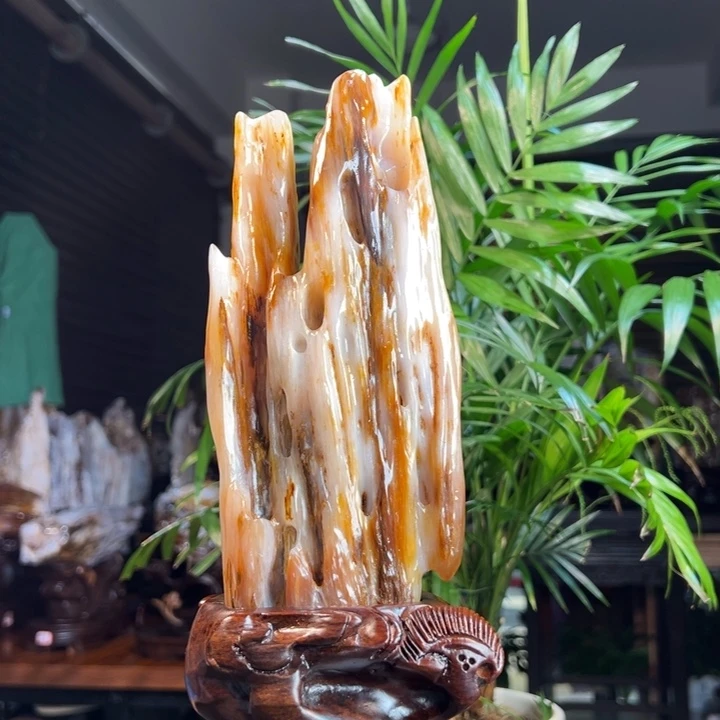 硅化玉（树化玉）未镶嵌珠宝奇石