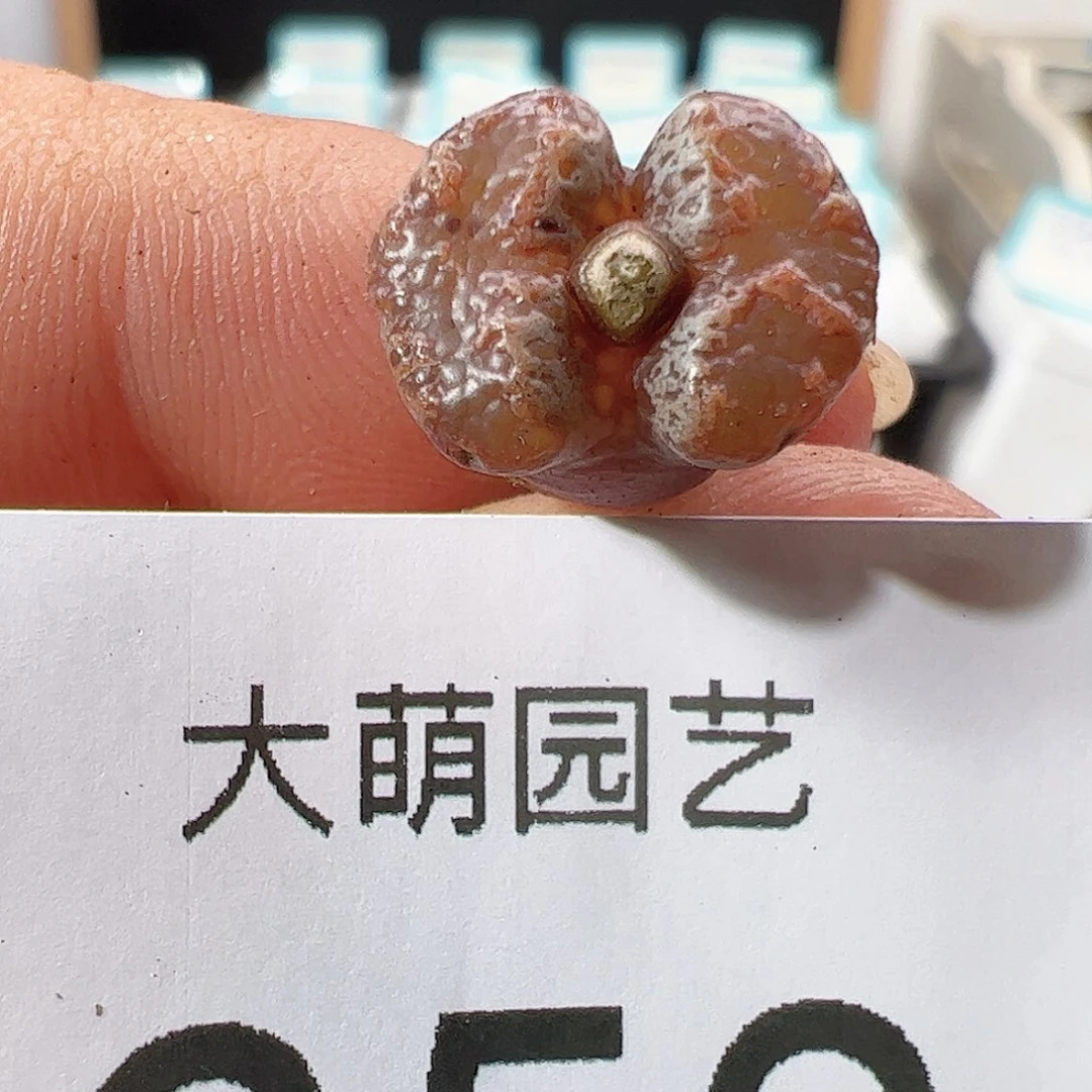 0000650 一物一拍……