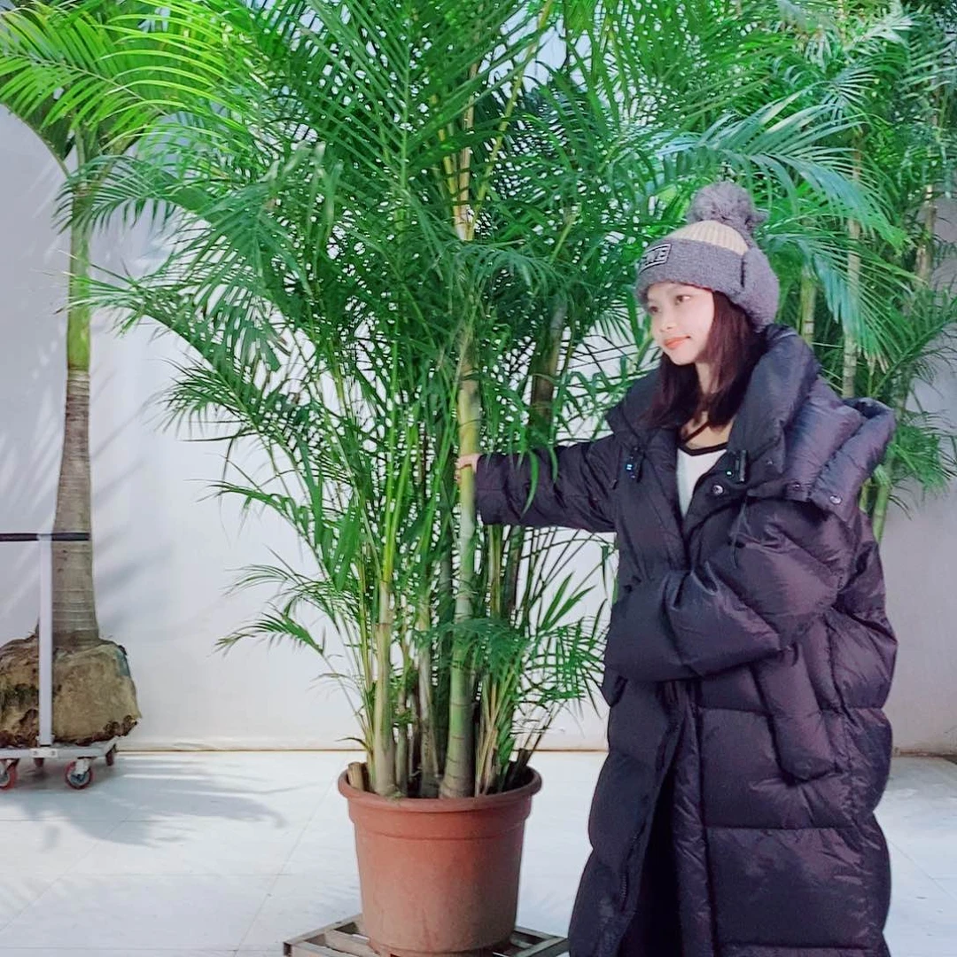 美*派24567789999099999