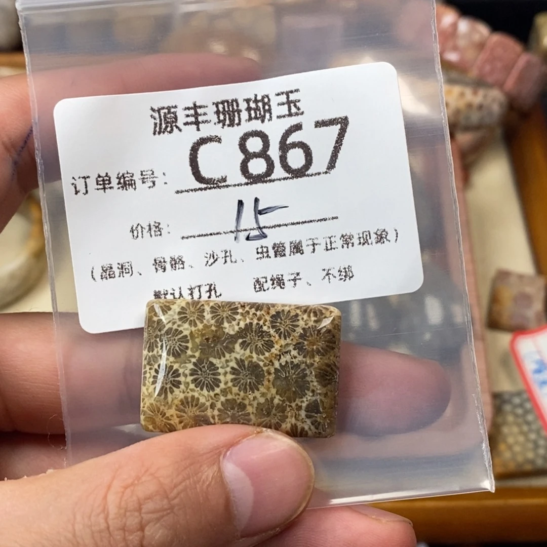暖***筑硅化玉未镶嵌颈饰
