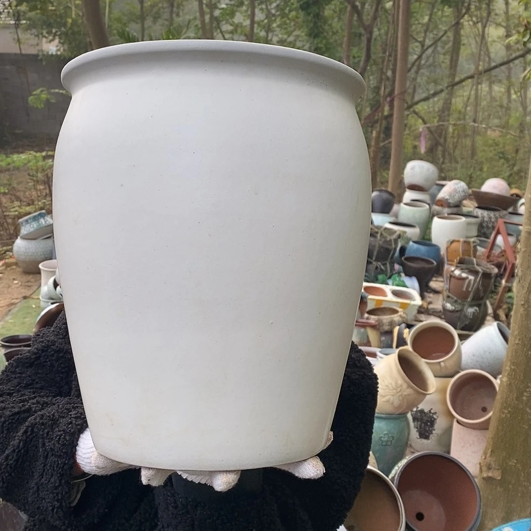 正品口径25/31gjgghh