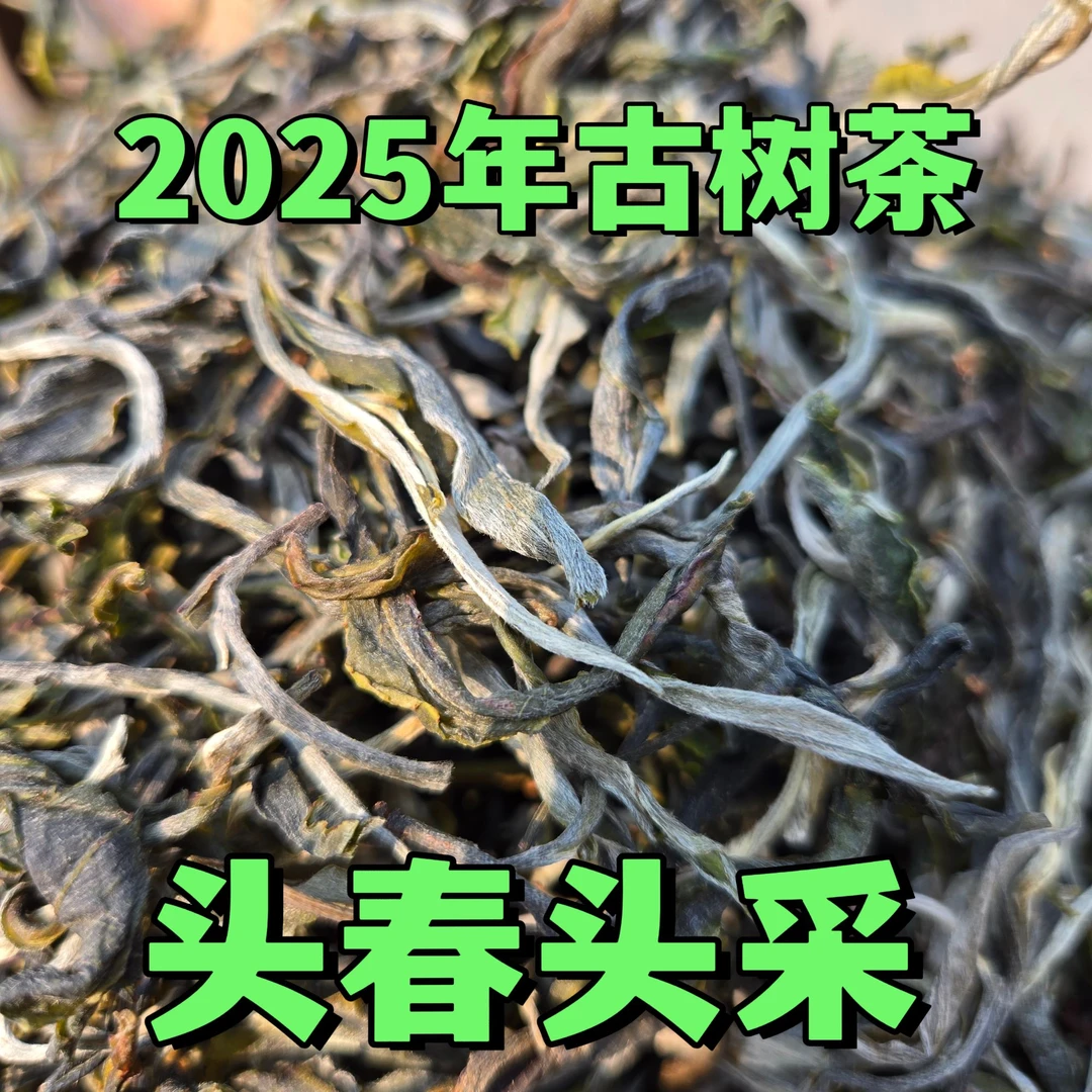 滇源风物【云南普洱】普洱散茶云南临沧耿马大寨普洱生茶头春头采