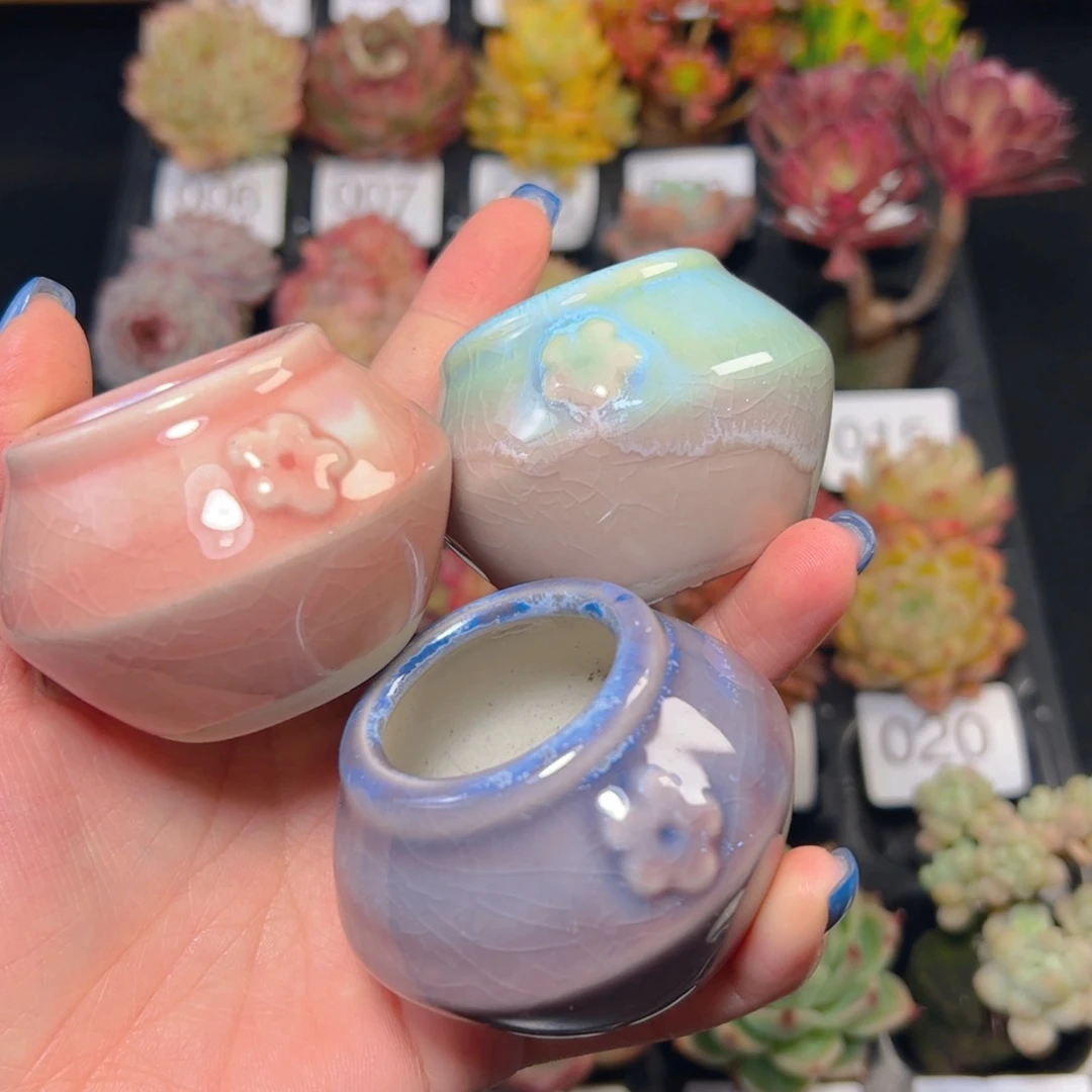 立体小花拇指盆一个，颜色随机不含多肉