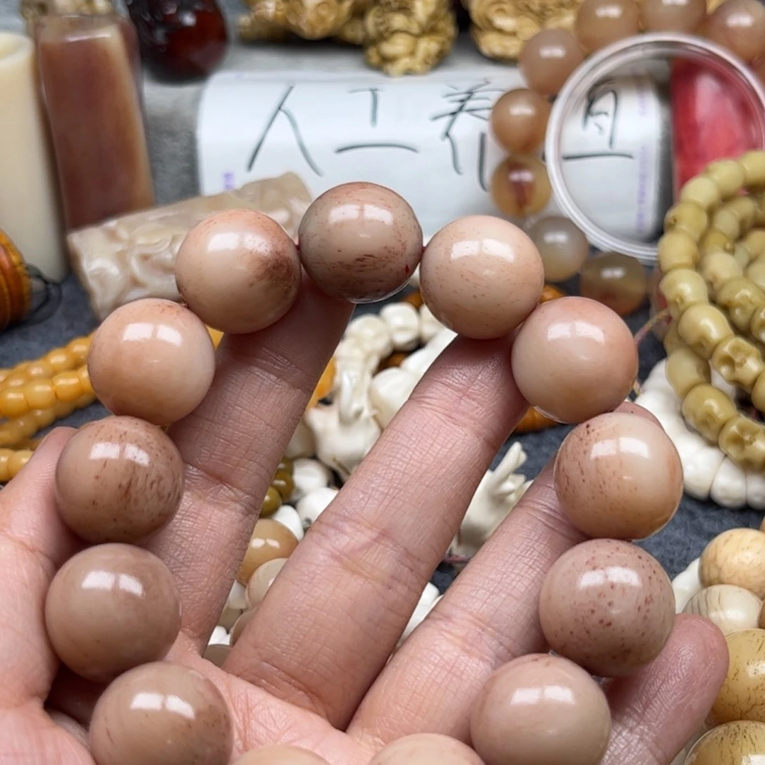 鹿骨其他用****4人工养殖驼骨113