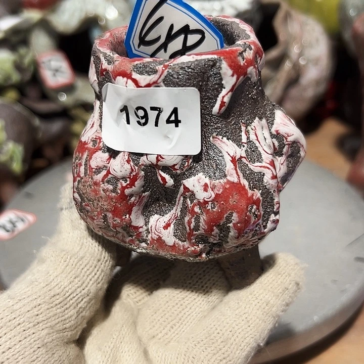 粗陶花盆，现在都不一样