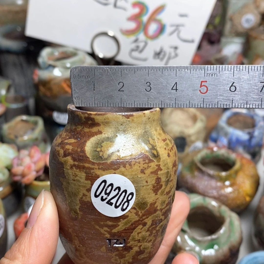 花盆拍5送一个小礼物