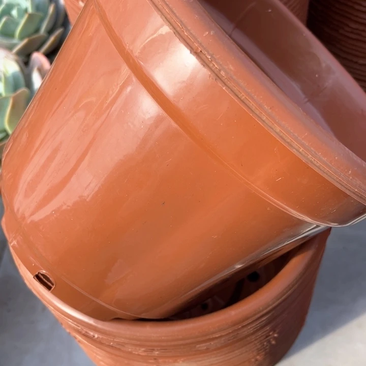 树脂红圆盆口24方19 ＿组10