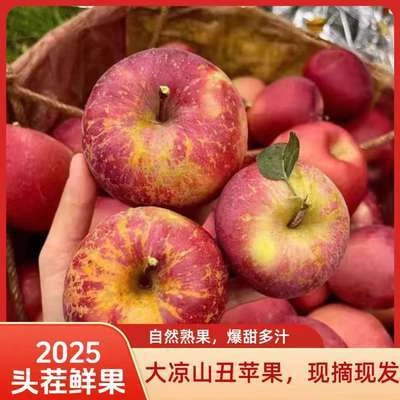 维生素丰富丑苹果正宗现摘应季新鲜水果整箱高黑苹大凉山老树苹果