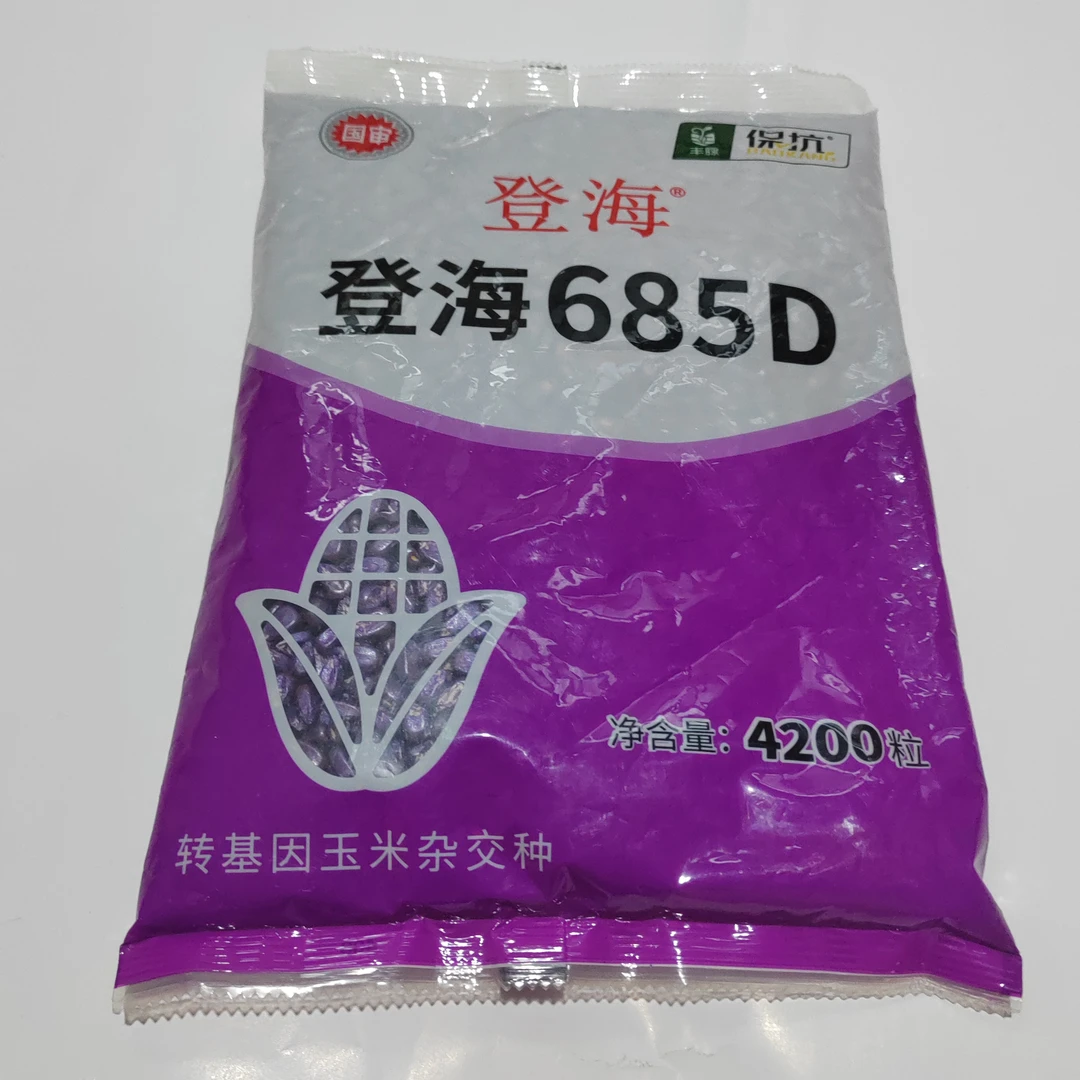 登海先锋登海685D红轴大穗玉米种玉米种子转基因高产玉米种子
