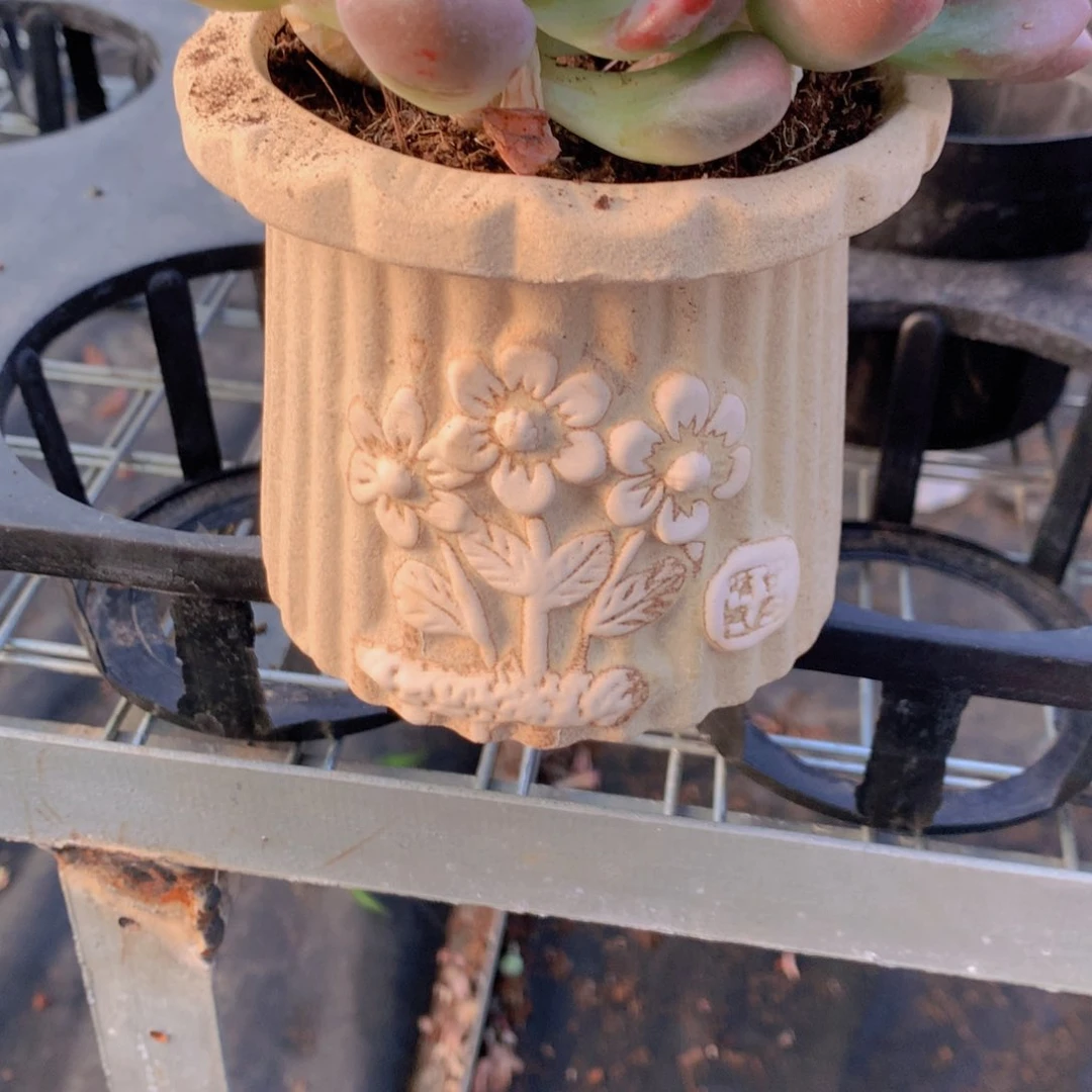 花盆一单包邮到家