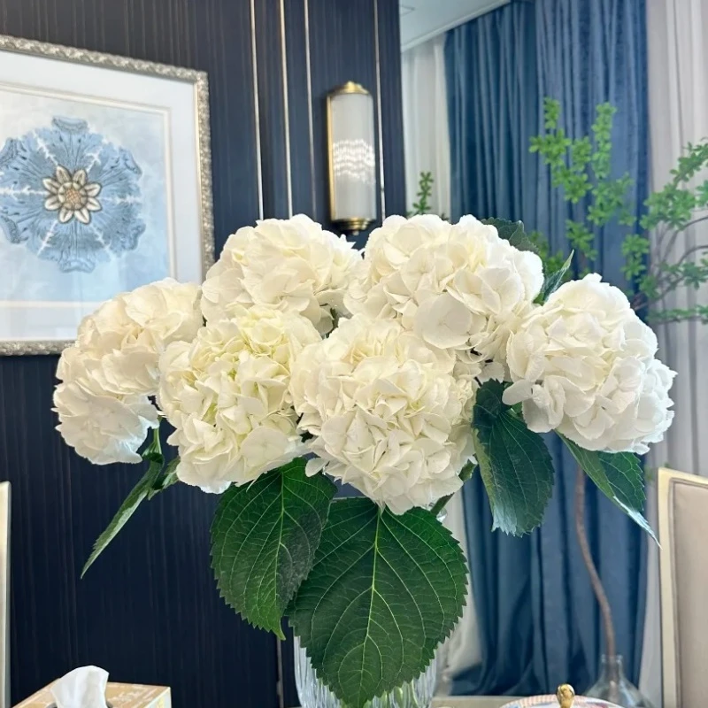 【云台花卉】白绣球花  两单升级顺丰冷链