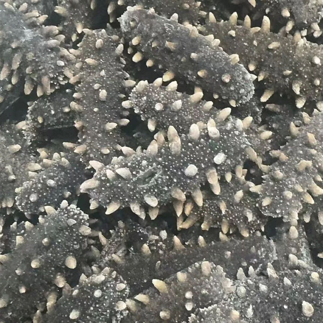 浅水海货高压原味即食