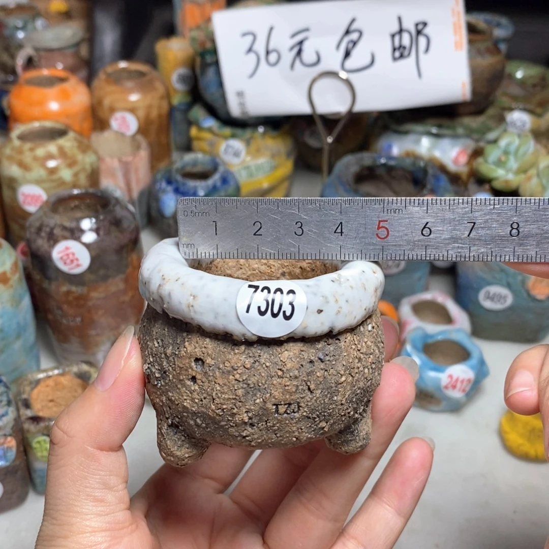 拍3送一个小礼物