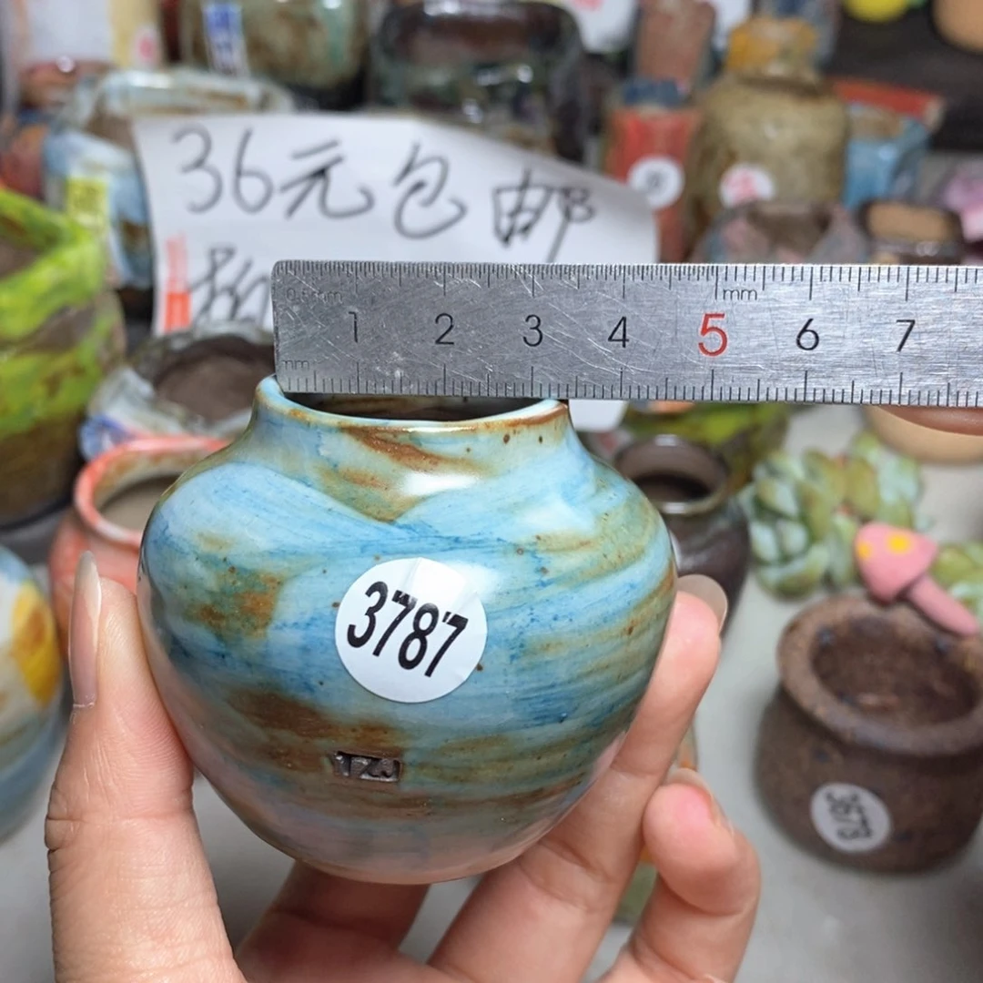 拍5送一个小礼物