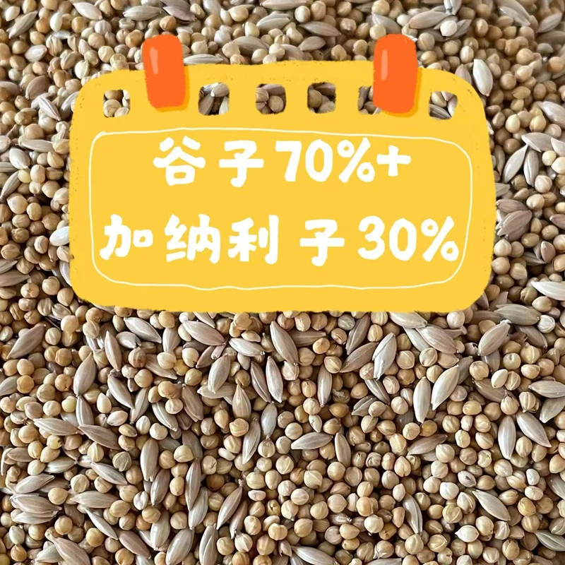 虎皮鹦鹉鸟粮谷子（70%）＋加纳利子（30%）
