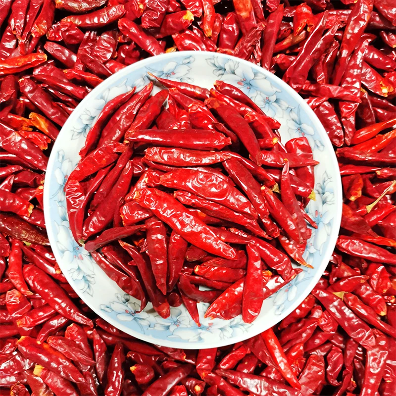 【中辣特香】新一代干辣椒农家晾晒特香微辣干辣椒炸红油炖菜调味