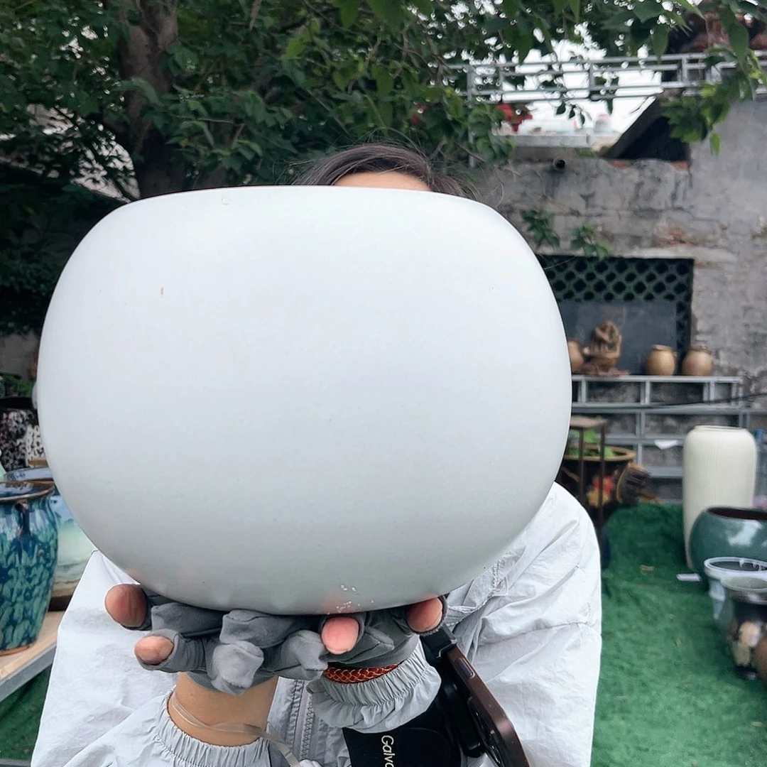 紫砂花盆王嫂花盆直播0528-ts 04