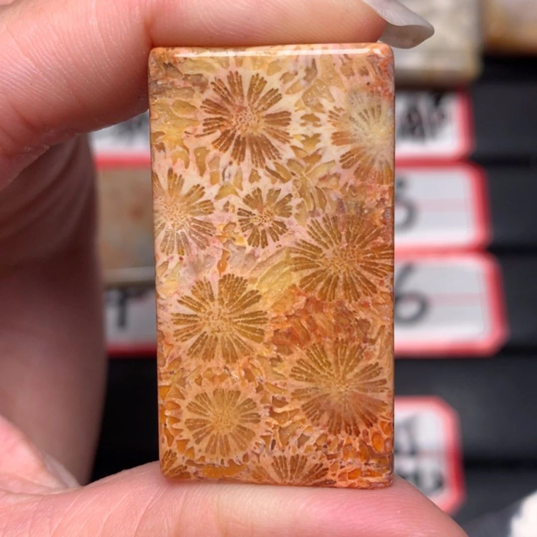 【闪购商品】硅化玉颈饰未镶嵌深**年