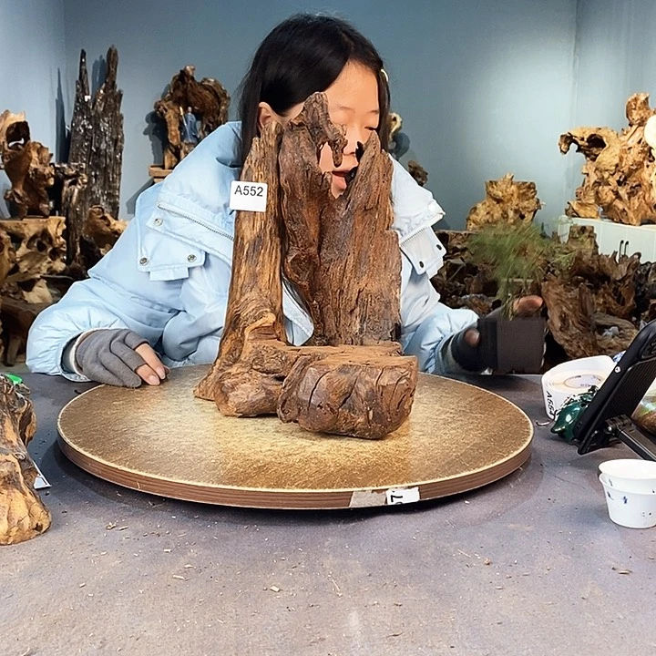 茶盏蕲****》552株木的随行的根艺